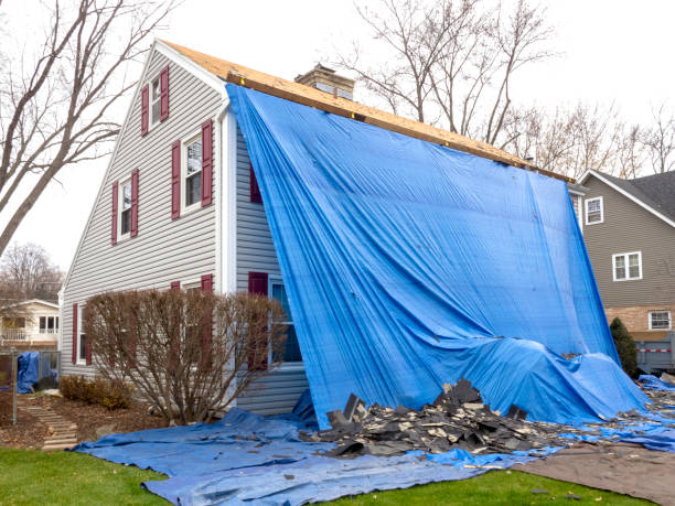 Best Siding Painting and Refinishing  in Carbon Hill, AL